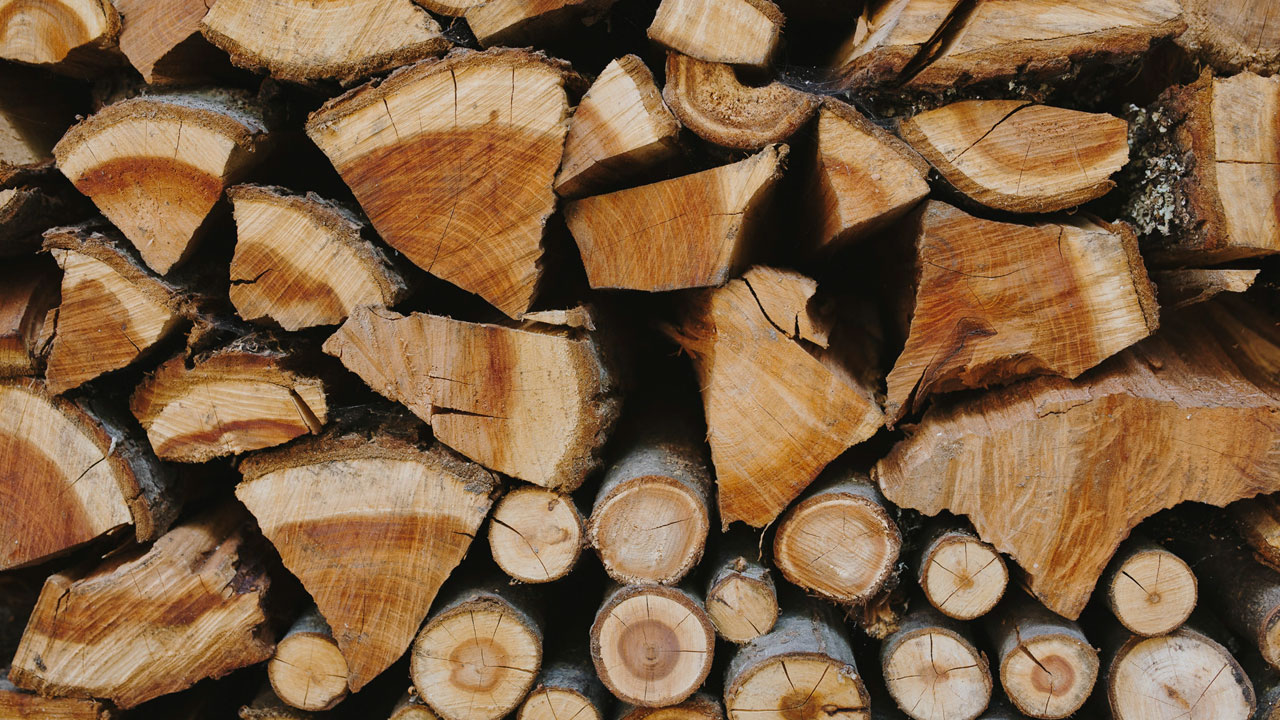 Is Firewood Expensive in Portugal?