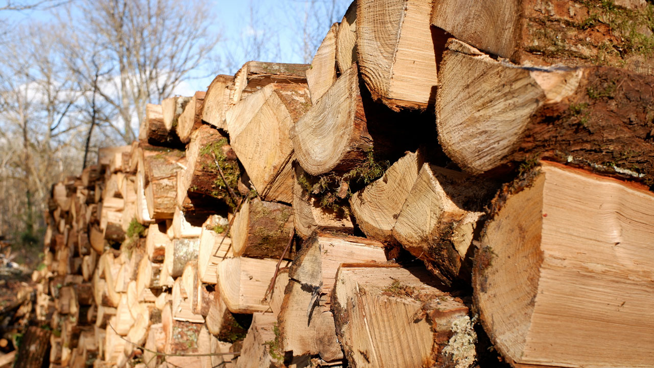 Stacked firewood prepared for winter heating in Portugal